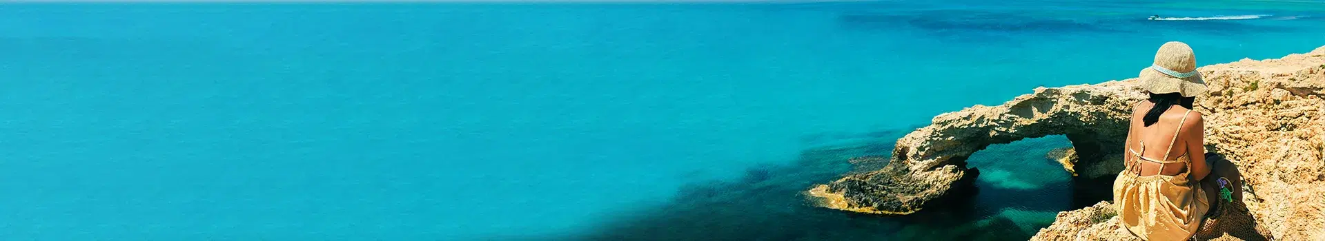Holiday Banner